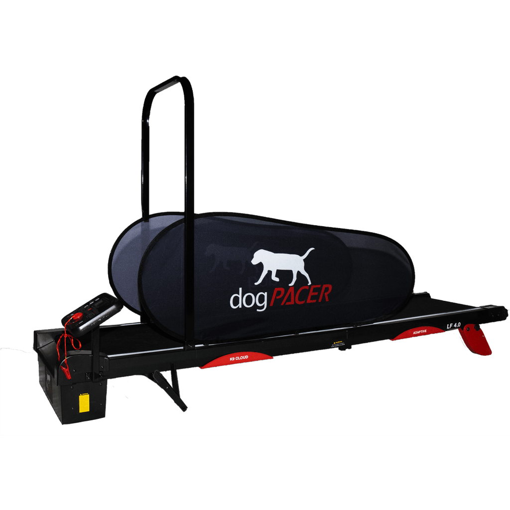 Dogtra dogPACER 4.0- Bluetooth Edition