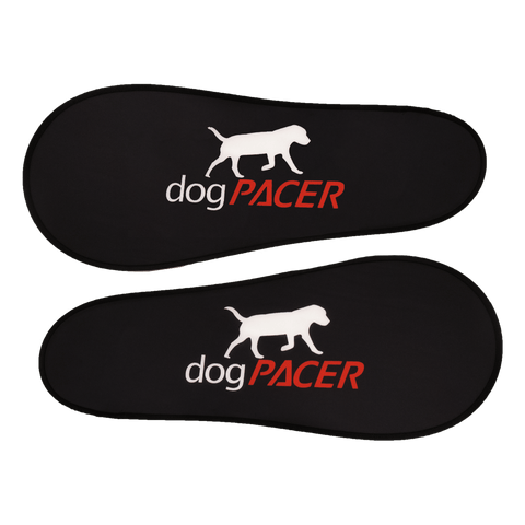 Image of Dogtra dogPACER 4.0- Bluetooth Edition