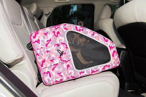 Image of Petique 5-in-1 Pet Stroller (Complete Set with Pet Carrier and Stroller Frame)
