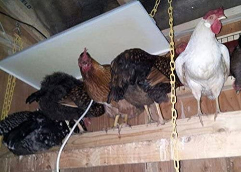 Image of Sweeter Heater Infrared Sidemount Model For Chicken Brooders, Chicken Coops, Pet Houses, Cages