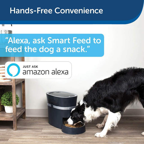 Image of PetSafe Smart Feed Automatic Feeder 2.0 For Dogs And Cats