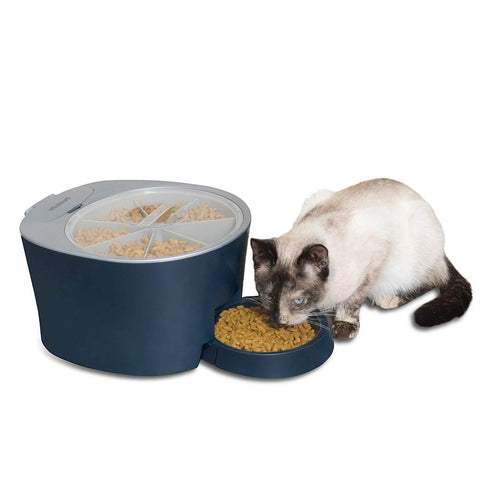 Image of PetSafe Automatic 6 Meal Pet Feeder Cat and Dog Food Dispenser Great for Cats and Small Dogs