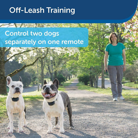 Image of PetSafe Remote Trainer Waterproof Rechargeable Tone Vibration 15 Levels of Static Stimulation Dogs Over 8 lb