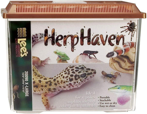 bearded dragon, blue tongue skink, russian tortoise, corn snake, Leopard Gecko, Herb Haven, Lee's