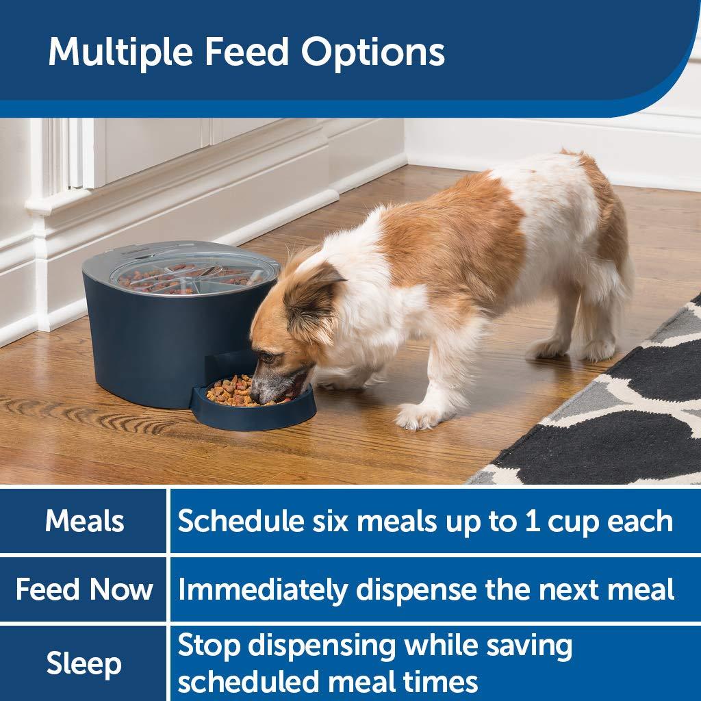 PetSafe Automatic 6 Meal Pet Feeder Cat and Dog Food Dispenser Great for Cats and Small Dogs