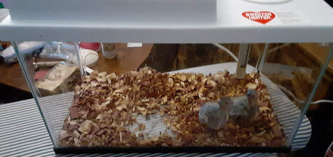 Image of Sweeter Heater Tank Model