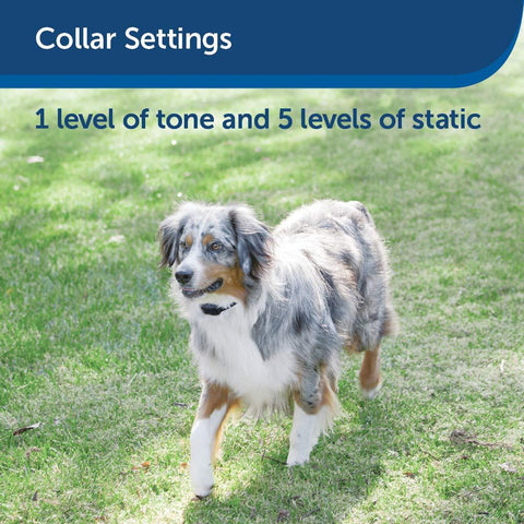 Image of PetSafe Stay & Play Wireless Fence for Stubborn Dogs Above Ground Electric Pet Fence