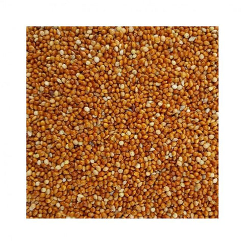 Wingz Avian Products Small Red Millet, 25 lb