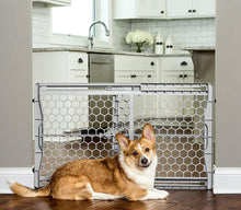 Carlson 23” Plastic Expandable Pet Gate