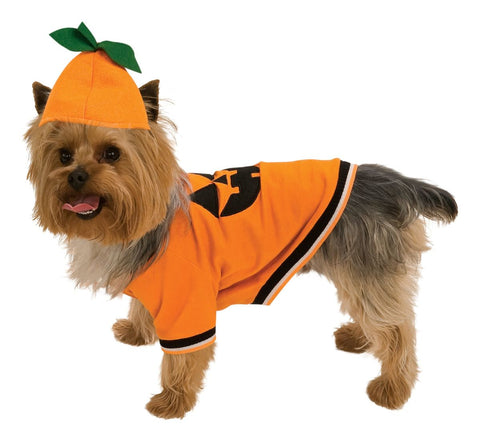 Image of Rubie's Costume Company Pumpkin Pet Costume