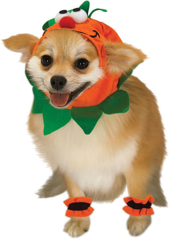Image of Rubie's Costume Company Pet Pumpkin Headpiece With 4 Paw Cuffs
