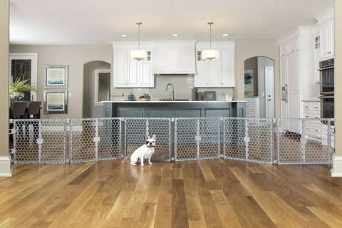Image of Carlson Pet Products 2-IN-1 Plastic Gate and Pet Pen