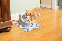 PetSafe Drinkwell Dog and Cat Mini Water Fountain 40 oz