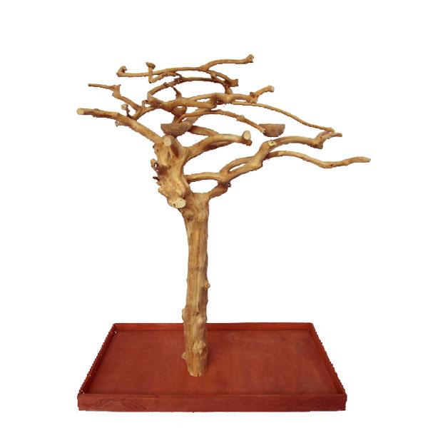 A&E Cages Java Wood Tree Floor Stand