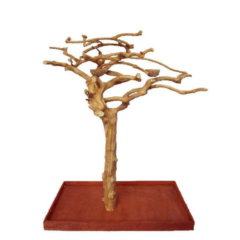 Image of A&E Cages Java Wood Tree Floor Stand