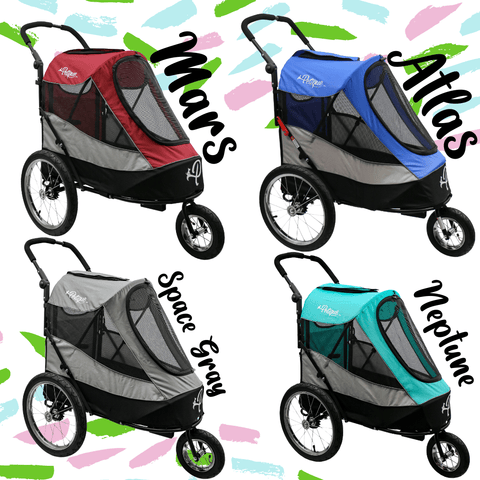 Image of Petique Blaze That Trail Pet Jogger Bundle