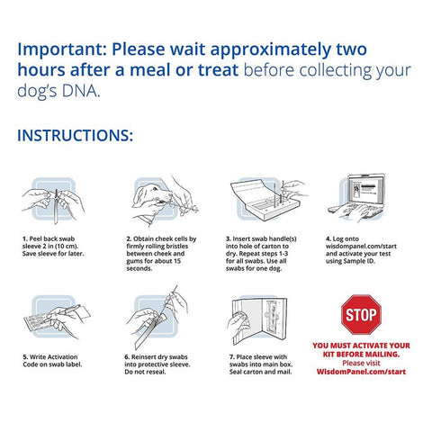 Image of Canine DNA Test Kit 4.0 By Wisdom Panel
