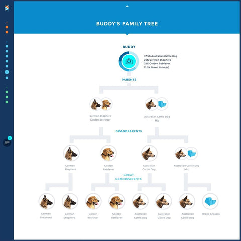 Image of Canine DNA Test Kit 4.0 By Wisdom Panel