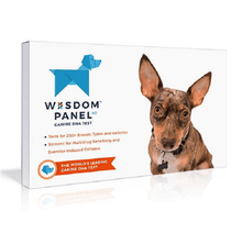 Canine DNA Test Kit 4.0 By Wisdom Panel