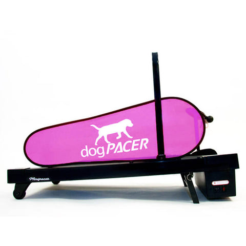 Image of dogPACER Minipacer HOPE Treadmill