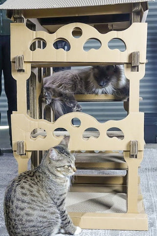 Image of Petique Feline Chateau House Cat House