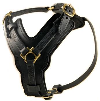 "Victory Leather Harness" For Medium To Extra Large Dogs