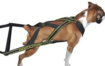 Image of DT Pro Pull Weight Pulling Nylon Harness For Small To Large Dogs