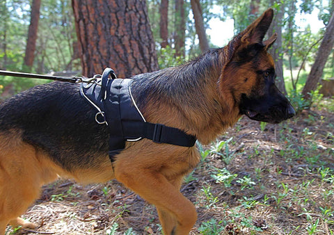 Image of Working Dog Nylon DT Harness For Extra Extra Small To Extra Large Dogs Black With Reflective Trim