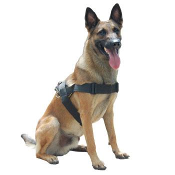Image of Nylon Harness For Extra Extra Small To Extra Large Dogs Black With Yellow Trim