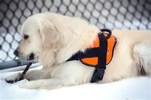 Nylon Harness For Extra Extra Small To Extra Large Dogs Orange With Reflective Trim