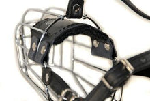 Basket Muzzle For Great Dane Dog And Similar Breeds