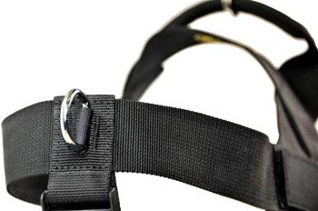 Image of DT Universal No-Pull Working Dog Nylon Harness