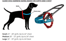 DT Guide Light Dog Nylon Harness For Small to Large Dogs