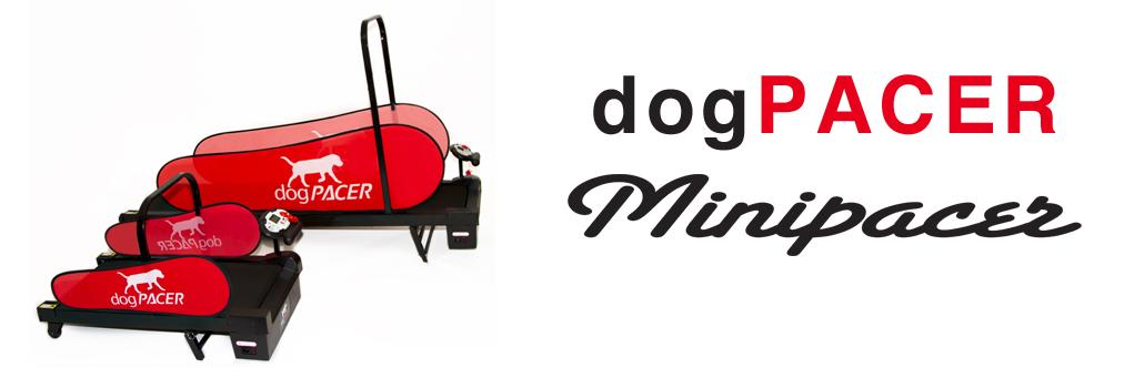 dogPACER LF 3.1 Dog Treadmill