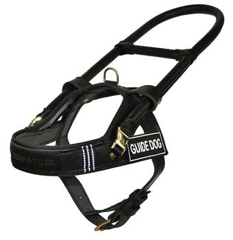 DT Guide Dog Nylon And Leather Harness For Small to Large Dogs