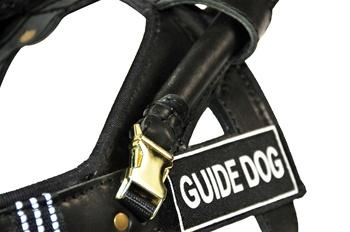DT Guide Dog Nylon And Leather Harness For Small to Large Dogs
