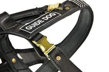 Image of DT Guide Dog Nylon And Leather Harness For Small to Large Dogs