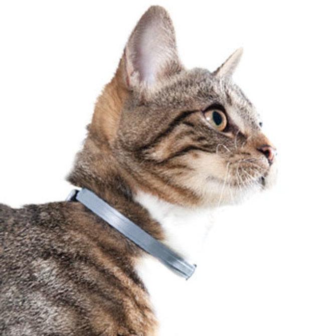 Bayer Animal Health Seresto Flea & Tick Collar for Cats