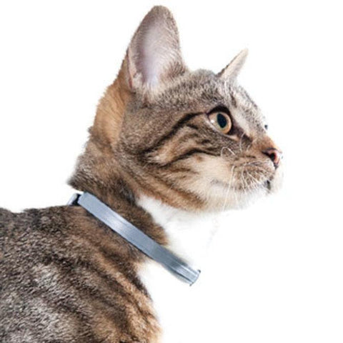 Image of Bayer Animal Health Seresto Flea & Tick Collar for Cats