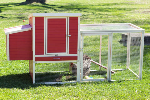 Image of New Age Farm™ & Garden Sonoma Chicken Coop