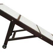 Merry Products Collapsible Pet Ramp