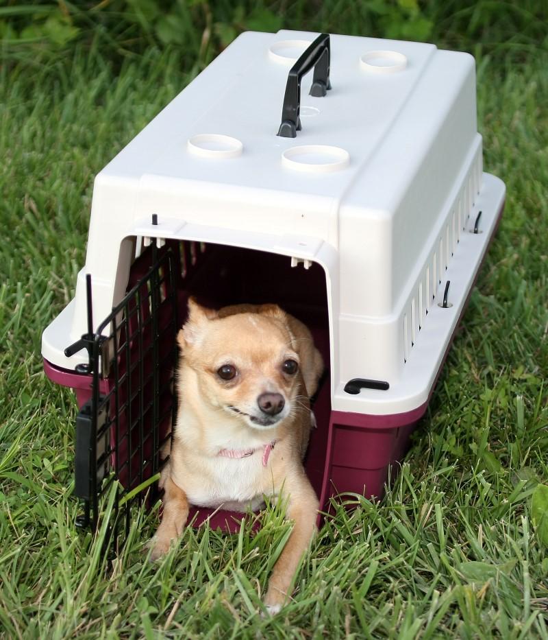 Impact Dog Crate Protective Carrier/Crate