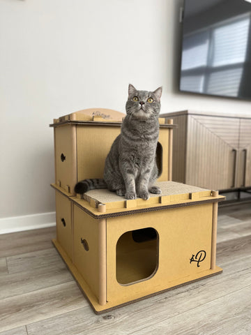 Image of Petique Feline Villa House Cat House