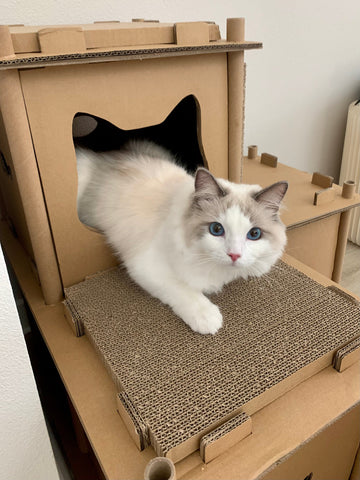 Image of Petique Feline Fortress House Cat House
