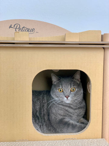 Image of Petique Feline Villa House Cat House