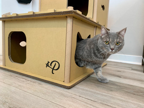 Image of Petique Feline Villa House Cat House