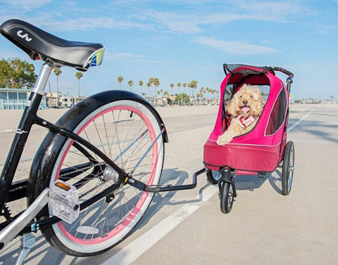 Image of Petique All Terrain Pet Jogger