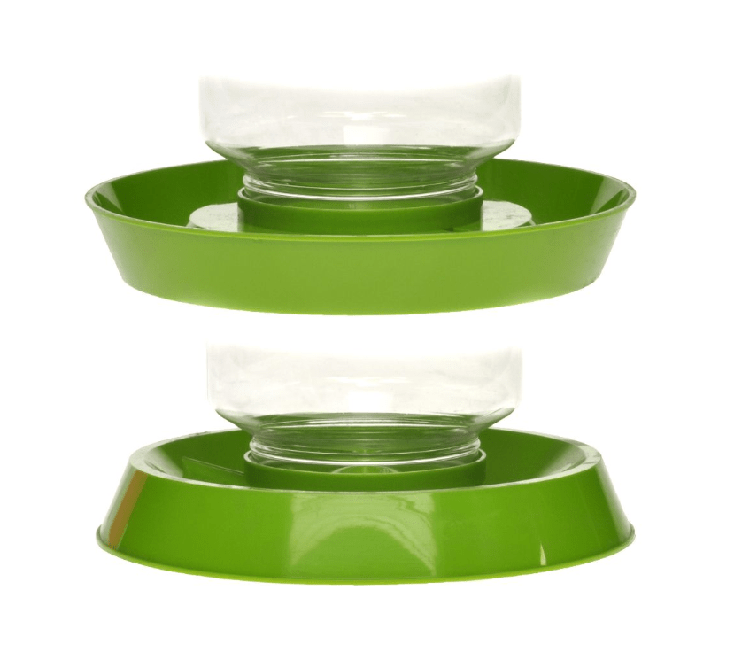 LIXIT® Clear Plastic Chicken Feeder/ Drinker 128 Oz, Green