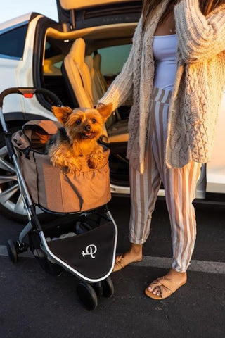 Image of Petique Newport Pet Stroller