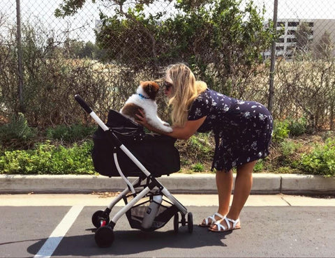 Image of Petique Newport Pet Stroller